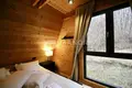 Dom 5 pokojów 280 m² Delnice, Chorwacja