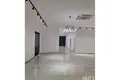 Коммерческое помещение 197 м² в Тиране, Албания