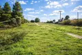 Atterrir 6 700 m² Kassandrino, Grèce