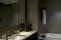 4 room villa 301 m² Dubai, United Arab Emirates