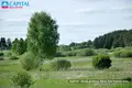 Grundstück  Riese, Litauen