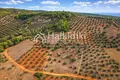 Parcelas 5 035 m² Nikiti, Grecia