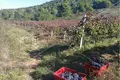 Nieruchomości inwestycyjne  Grad Vis, Chorwacja