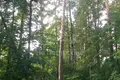 Działki  Odincovskij gorodskoj okrug, Rosja
