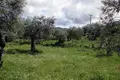 Land 1 room  Thassos Municipality, Greece