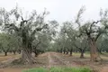 Atterrir 1 chambre 5 538 m² Gerakini, Grèce