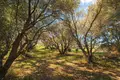 Parcelas 4 054 m² Nea Triglia, Grecia