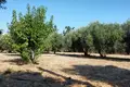 Land  Greece, Greece