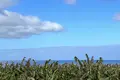 Parcelas  Canarias, Španjolska