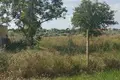 Land  Odesa, Ukraine