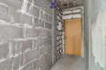 Квартира 2 комнаты 66 м² Минск, Беларусь