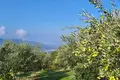 Земельные участки  Мотовун, Хорватия