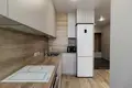 1 room apartment 30 m² Minsk, Belarus