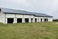 Tienda 800 m² en Wagrowiec, Polonia