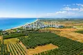 Land 1 560 m² Kalyves Polygyrou, Greece