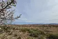 3 bedroom house 165 m² el Pinos Pinoso, Spain