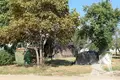 Parcelas 22 m² Muchaviecki sielski Saviet, Belarús