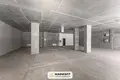 Office 1 room 219 m² in Minsk, Belarus