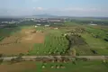 Land  Mazotos, Cyprus