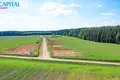 Land  Naujasis Tarpupis, Lithuania