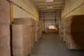 Коммерческое помещение 717 м² в Риге, Латвия