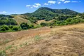 Land 10 934 m² Megali Panagia, Greece