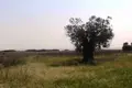 Земельные участки 1 комната  Polygyros Municipality, Греция
