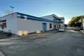 Gewerbefläche 2 244 m² Nowa Dofiniwka, Ukraine