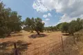 Atterrir 1 chambre  Nikiti, Grèce