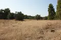 Atterrir 1 chambre  Nikiti, Grèce