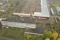 Manufacture 5 638 m² in Losnica, Belarus