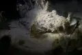 Exclusivo Complejo Turístico Operativo en Isla Pulau Tinggi (3.7 Ha, 88 Unidades) — $5,000,000