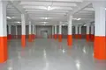 Warehouse 11 601 m² in Moscow, Russia