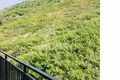Mieszkanie 3 pokoi 77 m² Tbilisi, Gruzja