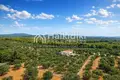 Land 3 675 m² Metamorfosi, Greece