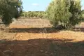 Atterrir 1 chambre  Nikiti, Grèce