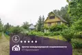 Haus 48 m² Krasnienski sielski Saviet, Belarus