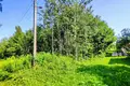 Atterrir  Putcynski sielski Saviet, Bélarus