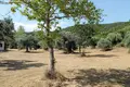 Grundstück 1 zimmer 8 620 m² Gemeinde Aristotelis, Griechenland