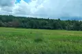 Дом  Плещеницкий сельский Совет, Беларусь