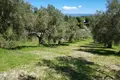 Parcelas 1 habitación  Paliouri, Grecia