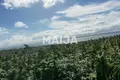 Atterrir  Honduras, République dominicaine