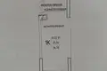 Mieszkanie 1 pokój 27 m² Odessa, Ukraina