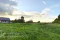 Land  Dabryniouski sielski Saviet, Belarus