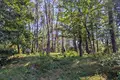 Działki  Ureki, Gruzja