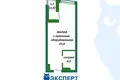 Wohnung 1 zimmer 30 m² Minsk, Belarus