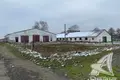 Manufacture in Jamna, Belarus