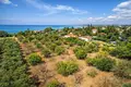 Land 14 000 m² Kassandrino, Greece