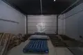 Warehouse 369 m² in Zdanovicy, Belarus