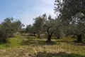 Land 1 room  Agios Nikolaos, Greece